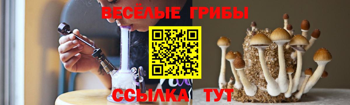 Псилоцибиновые грибы Magic Shrooms  цена   Амурск  Псилоцибиновые грибы Magic Shrooms  Вход с VPN 